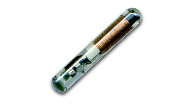 Transponder Chip Key Bulldog Locksmith Image